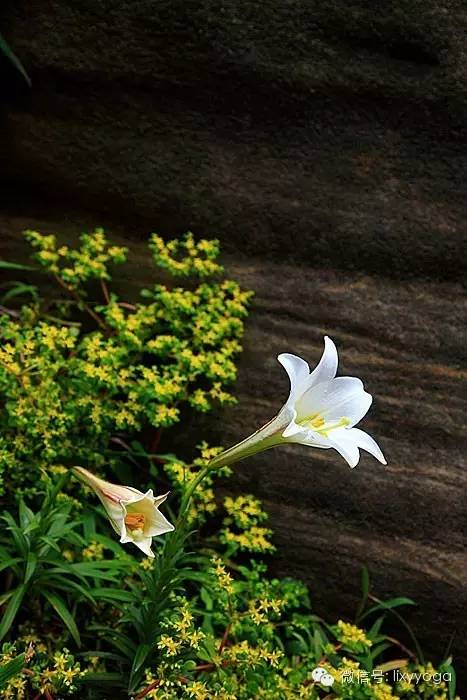 KY开元·(中国)集团