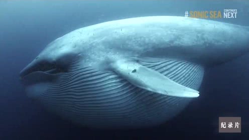 河北首套WSA制酸工程顺利出酸:ky开元·(中国)集团官网(图1) KY开元集团官网