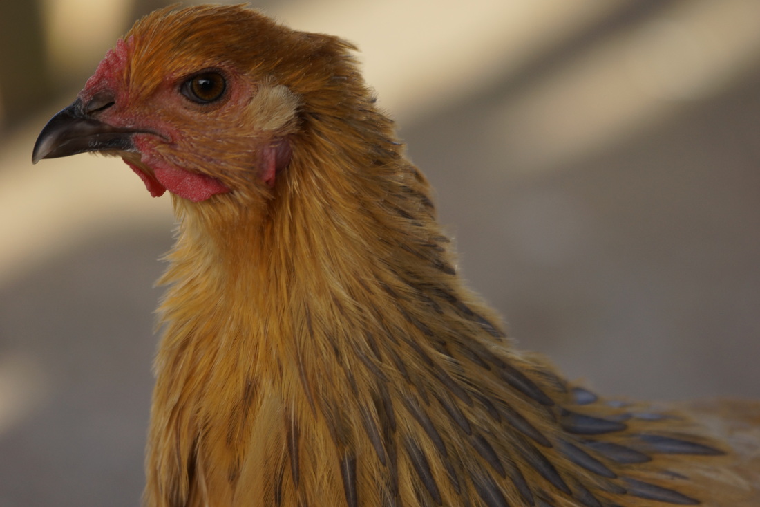 KY开元·(中国)集团