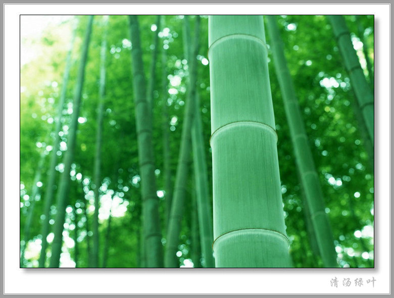 ky开元·(中国)集团官网